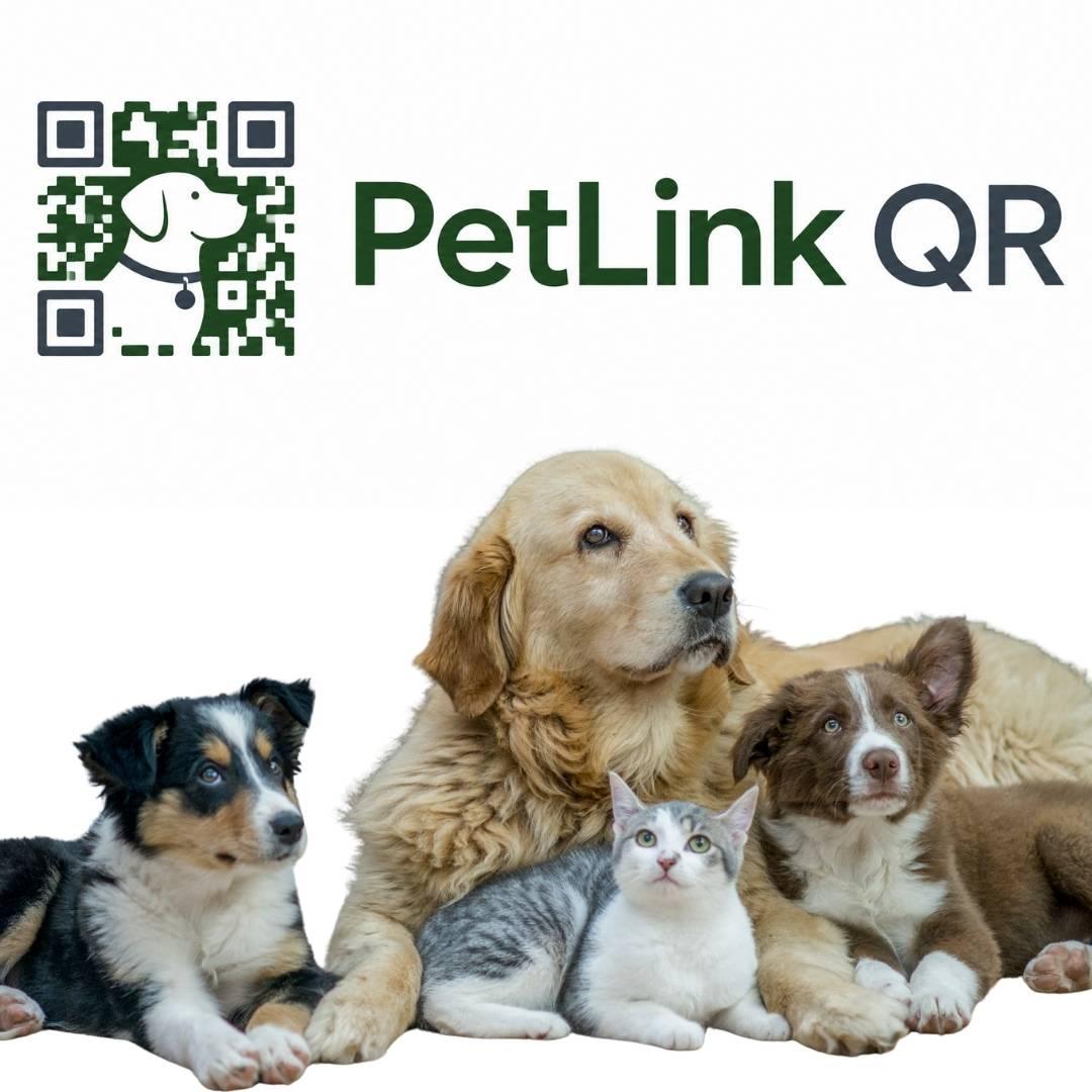 Smart Pet Tag Information